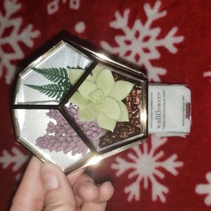 Bath And Body Works Wallflower plug, potted Succulent